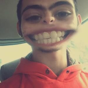 Meet your Posher, Harley